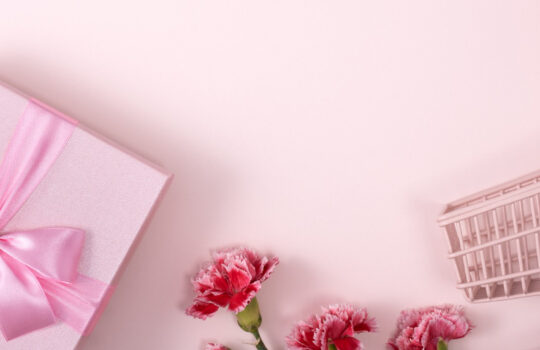 Pastel pink flat lay with a gift box tied by a satin pink ribbon, pink carnations, and a small pink bicycle cart on a soft pink background.